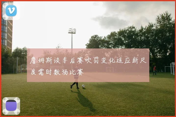 詹姆斯谈季后赛吹罚变化适应新尺度需时数场比赛