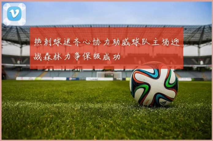 热刺球迷齐心协力助威球队主场迎战森林力争保级成功