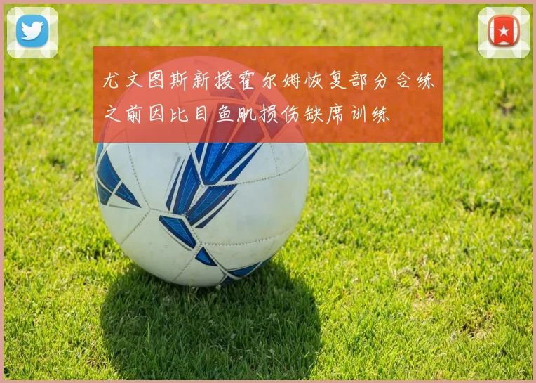尤文图斯新援霍尔姆恢复部分合练之前因比目鱼肌损伤缺席训练
