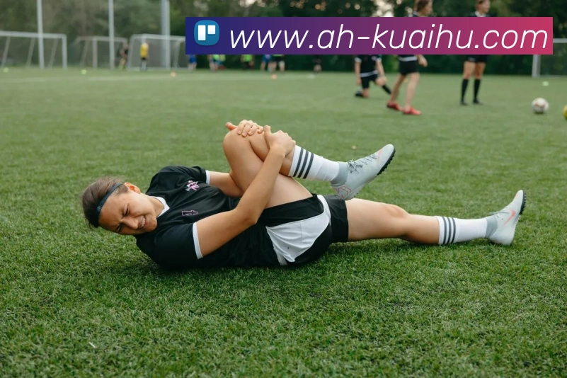 App Interface Preview